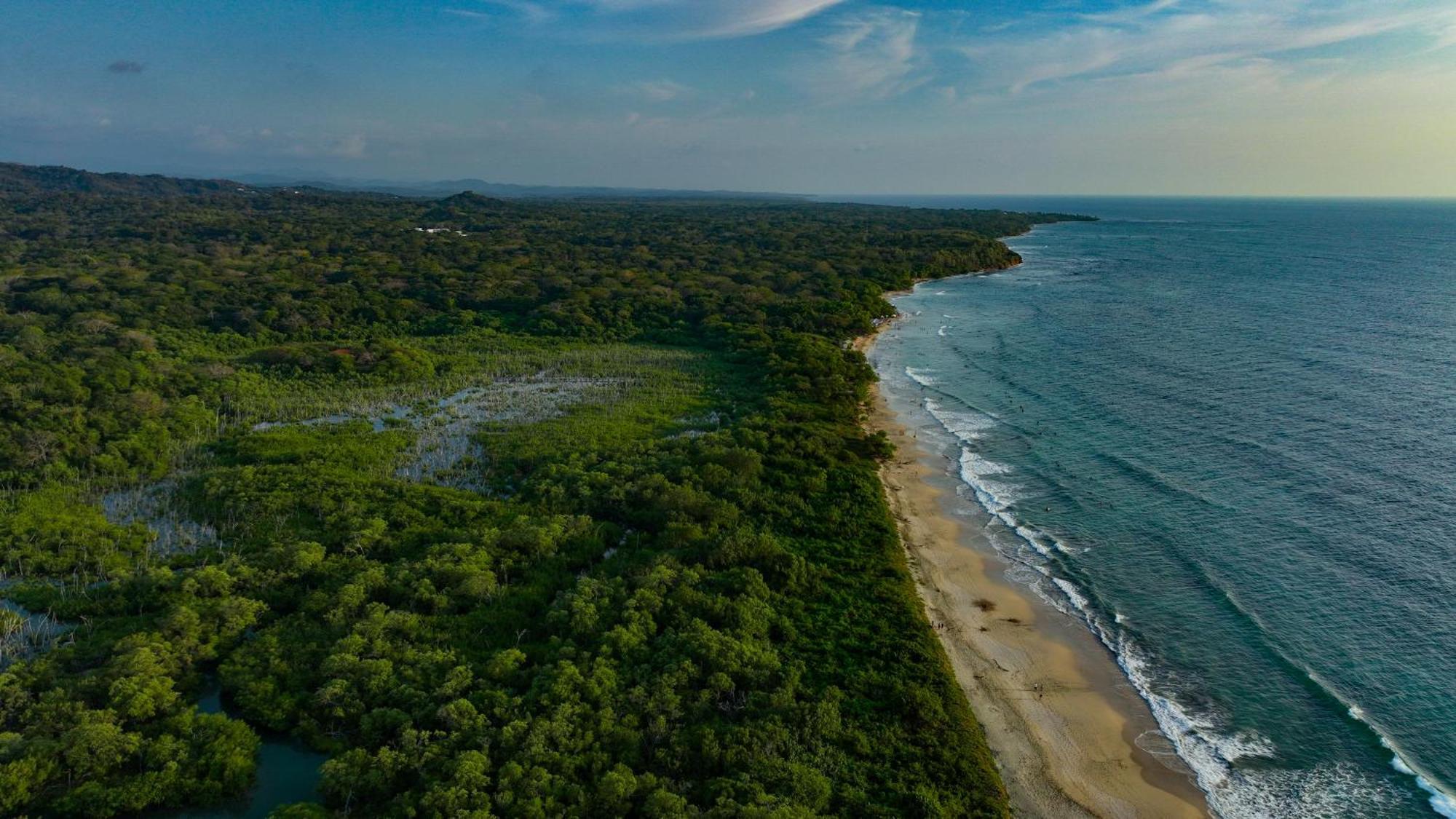 Beach Walk Costa Rica Playa Avellana Zewnętrze zdjęcie